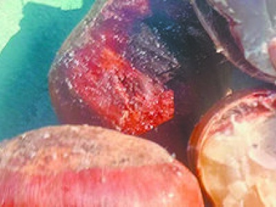 Najlepsze kasztany. Przepisy