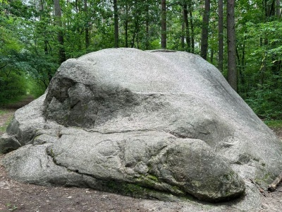 Marka turystyczna „Bory Tucholskie