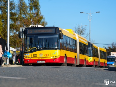 Linie specjalne i dodatkowe. Komunikacja miejska w okresie Wszystkich Świętych