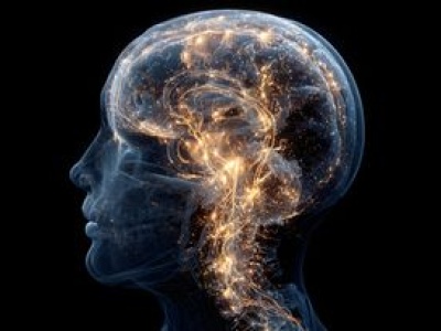 Naśladowanie mózgu może poprawić wydajność AI. Znaleźli nową metodę