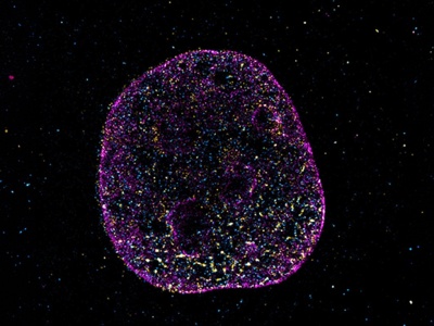 DNA ma ukryty kod geometryczny. Drugi język życia odkryty przez naukowców