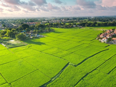 Nowe prawo budowlane. Pułapka na rynku działek