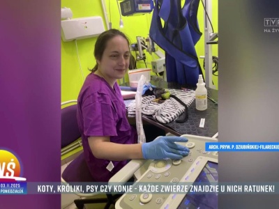 Koty, króliki, psy czy konie - każde zwierzę znajdzie u nich ratunek!