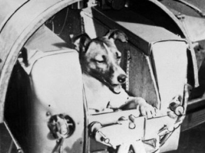 3 listopada 1957 roku wystartowała sonda Sputnik 2 z psem Łajką na pokładzie