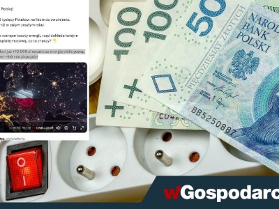 Masa zwolnień zalewa Polskę! To „zielone bezrobocie”