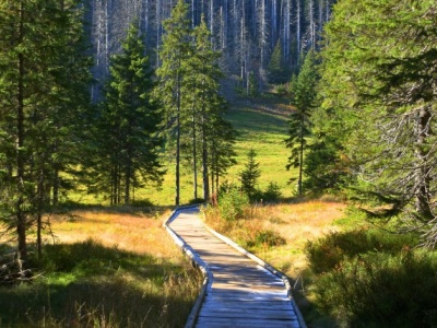 Łatwy szlak w Tatrach na koniec jesieni. Nie spotkasz tam tłumów turystów