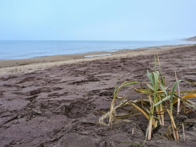 Widok na plaży w Mielnie przyciąga tłumy. Wszyscy chcą to zobaczyć