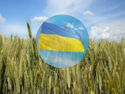 KE chce ukarania Polski za embargo na ukraińskie zboże. Warszawa nie zamierza ustępować