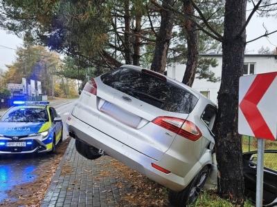 Pijany Ukrainiec zatrzymał się na drzewie. Tłumaczył, że 