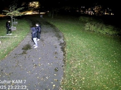 Pijany rajd wandali po Gnieźnie. Łamali drzewka, pili alkohol i szydzili z policji