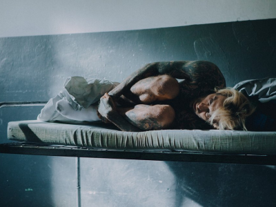 Północ/Południe z datą premiery na CANAL+! Kiedy zobaczymy musical Quebonafide?