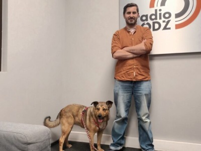 Strefa kultury. Rozmowy na czas chaosu