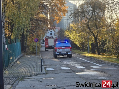 Pożar w strzegomskiej słodowni