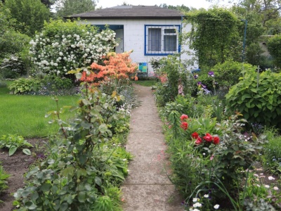 Przetestowali warzywa i owoce z działek ROD. Wyniki dają do myślenia