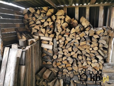 Kupiłam drewno opałowe aż 600 zł taniej niż normalnie. Wszystko rozbija się o ten jeden czynnik