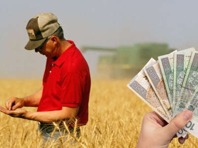 Dochód z 1 ha przeliczeniowego według GUS – minister zapowiada zmiany?