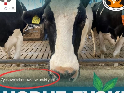 Cykl konferencji „HODUJ ZYSK!