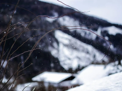 Zima 2026 może zaskoczyć. Kiedy spadnie śnieg? Synoptyk o „winowajcy”