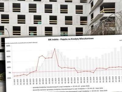 Takiego wzrostu dawno nie było. 