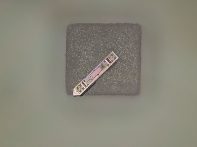 MOTE – implant mózgowy mniejszy niż kryształek soli