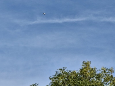 Nie dronom nad zoo! Warszawski ogród zoologiczny apeluje w imię dobrostanu zwierząt