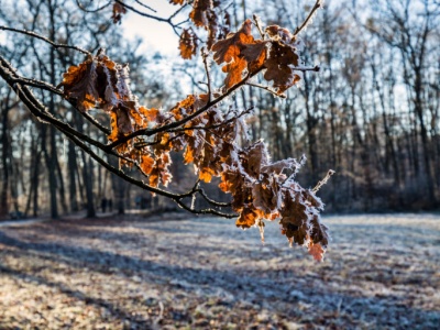 Pogoda na czwartek | W nocy przymrozki, w dzień słonecznie