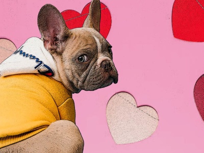 Pies – złoty cielec liberalnego społeczeństwa