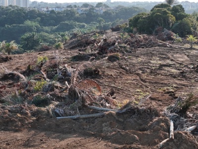 Gra pozorów w sercu Amazonii: Brazylia organizuje COP30