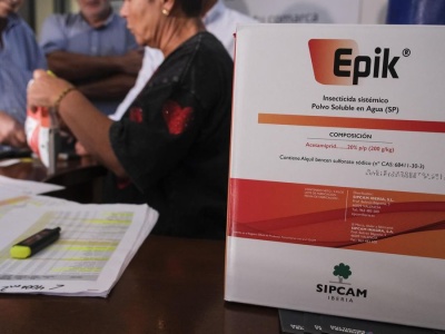 Teneryfa walczy z filokserą – bezpłatne leczenie winnic