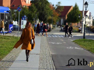 Kierowca wjechał na chodnik, potrącił pieszego, a winny... pieszy!
