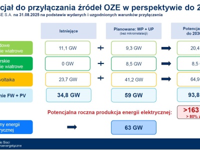 Nie będzie aukcji na zwolnione przyłącza do sieci