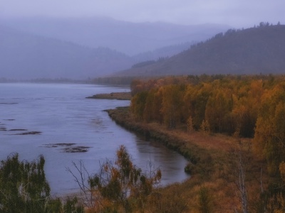 Naukowcy są zaniepokojeni. 