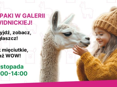 Alpaki zawitają do Galerii Świdnickiej