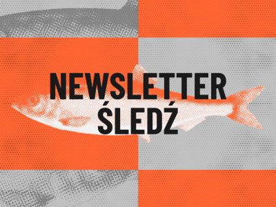Celnicy budzą się w sprawie sankcji. Newsletter ŚLEDŹ