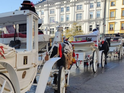 Dorożki nie będą mogły wjeżdżać na Rynek Główny