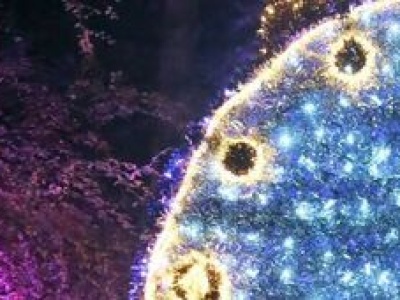 Alicja i biały królik biegają po Ogrodzie Botanicznym