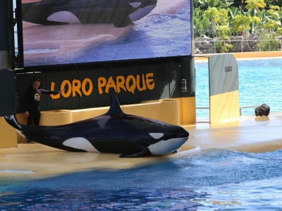 Najbogatsi na Wyspach Kanaryjskich 2025 – Forbes