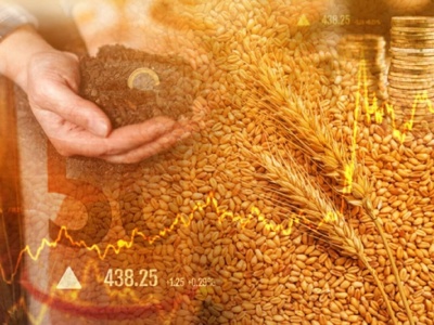 Matif: Grudniowy kontrakt na pszenicę po 192 EUR/t