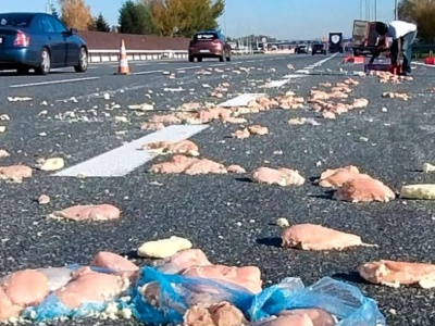 Utrudnienia! Mięso na autostradzie A4