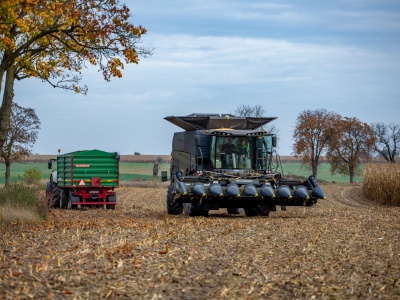 Ile kosztuje kukurydza mokra 2025? W tych regionach stawki wzrosły