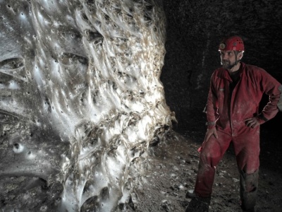 W europejskiej jaskini odkryto największą sieć pajęczą na świecie i olbrzymią liczbę pająków