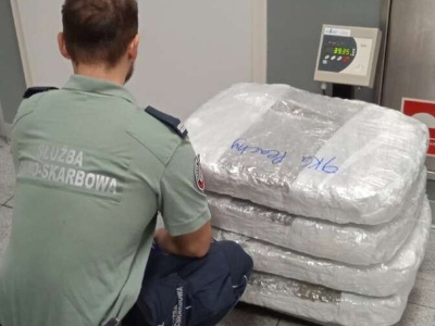 Przyleciała z Bangkoku do Warszawy. Gdy celnicy otworzyli jej walizki, zamarli