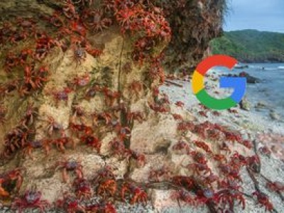 Tajemniczy projekt Google na wyspie pełnej krabów, to nie wojskowe centrum danych AI, ale coś znacznie zwyklejszego