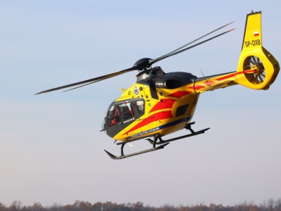 Dramatyczny wypadek przy wycince drzew. Prokuratura wszczyna śledztwo