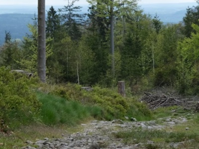 Jeden post wystarczył, żeby zaczęło się szaleństwo. Teraz wszyscy chcą tam pojechać