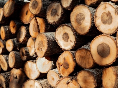 Tak znacznie szybciej wysuszysz drewno opałowe. Wystarczy, że zrobisz to