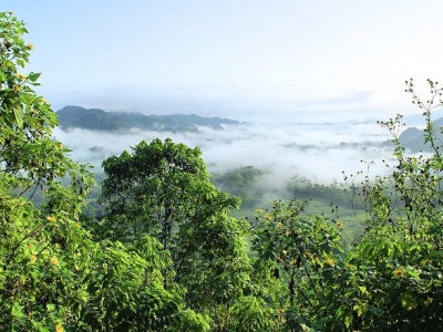 Wycięli puszczę by debatować o klimacie. Brazylia zakończyła budowę autostrady amazońskiej
