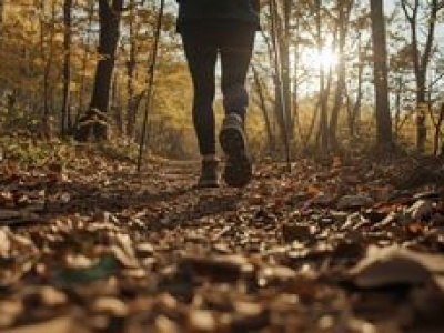 Weekend bez planu? 4 trasy spacerowe wokół Piły, które musisz poznać