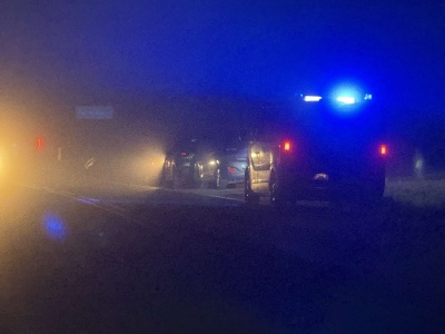 Klecza Dolna. Nocne zderzenie samochodu z sarną – na szczęście nikt nie ucierpiał