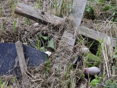 Oczywista Nieoczywistość – Ożywieni